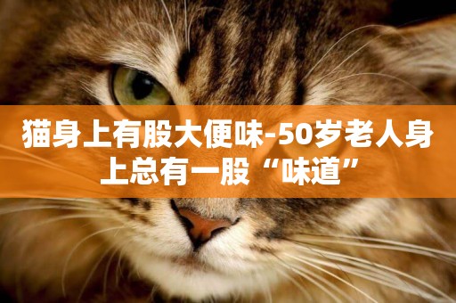 貓身上有股大便味-50歲老人身上總有一股“味道”