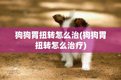 狗狗胃扭轉怎么治(狗狗胃扭轉怎么治療)