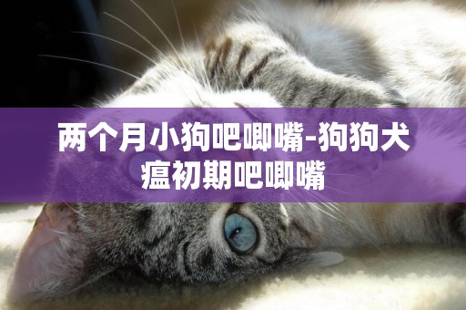 兩個月小狗吧唧嘴-狗狗犬瘟初期吧唧嘴