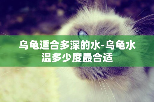 烏龜適合多深的水-烏龜水溫多少度最合適