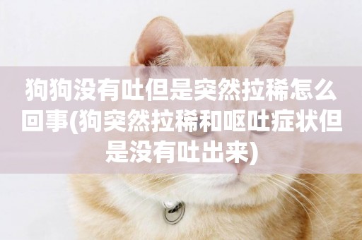 狗狗沒有吐但是突然拉稀怎么回事(狗突然拉稀和嘔吐癥狀但是沒有吐出來)