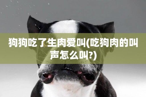 狗狗吃了生肉愛叫(吃狗肉的叫聲怎么叫?)