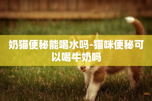 奶貓便秘能喝水嗎-貓咪便秘可以喝牛奶嗎