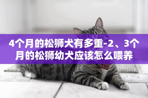 4個月的松獅犬有多重-2、3個月的松獅幼犬應該怎么喂養