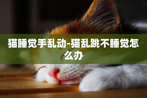 貓睡覺手亂動-貓亂跳不睡覺怎么辦