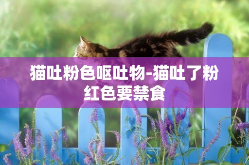 貓吐粉色嘔吐物-貓吐了粉紅色要禁食
