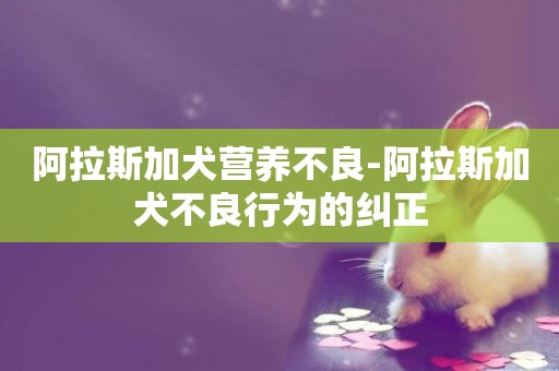 阿拉斯加犬營養不良-阿拉斯加犬不良行為的糾正