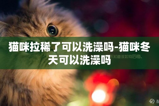 貓咪拉稀了可以洗澡嗎-貓咪冬天可以洗澡嗎