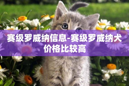 賽級羅威納信息-賽級羅威納犬價格比較高