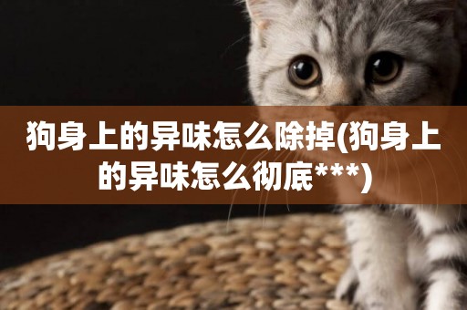 狗身上的異味怎么除掉(狗身上的異味怎么徹底***)