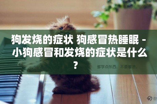 狗發燒的癥狀 狗感冒熱睡眠 - 小狗感冒和發燒的癥狀是什么？ 