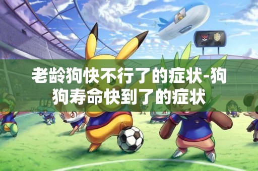 老齡狗快不行了的癥狀-狗狗壽命快到了的癥狀