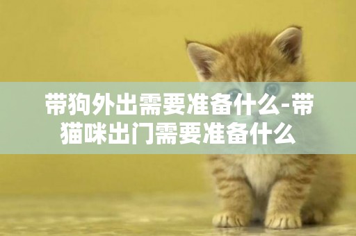 帶狗外出需要準備什么-帶貓咪出門需要準備什么