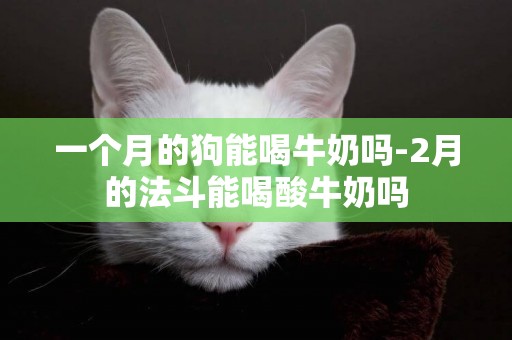 一個月的狗能喝牛奶嗎-2月的法斗能喝酸牛奶嗎