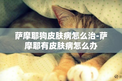 薩摩耶狗皮膚病怎么治-薩摩耶有皮膚病怎么辦