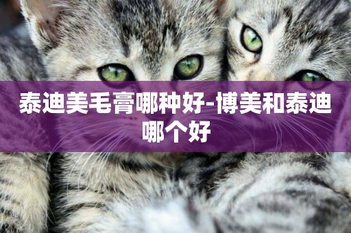 泰迪美毛膏哪種好-博美和泰迪哪個好