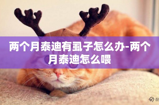 兩個月泰迪有虱子怎么辦-兩個月泰迪怎么喂