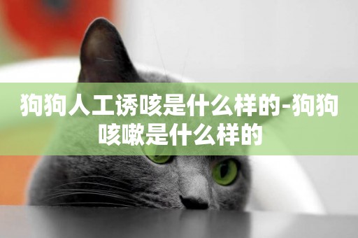 狗狗人工誘咳是什么樣的-狗狗咳嗽是什么樣的
