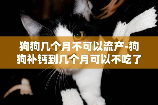 狗狗幾個月不可以流產-狗狗補鈣到幾個月可以不吃了