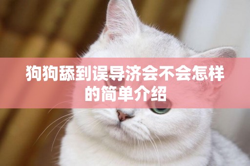 狗狗舔到誤導濟會不會怎樣的簡單介紹
