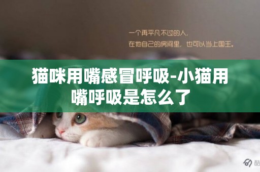 貓咪用嘴感冒呼吸-小貓用嘴呼吸是怎么了