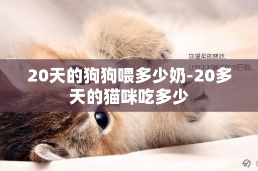 20天的狗狗喂多少奶-20多天的貓咪吃多少
