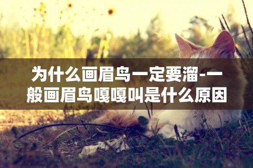 為什么畫眉鳥一定要溜-一般畫眉鳥嘎嘎叫是什么原因