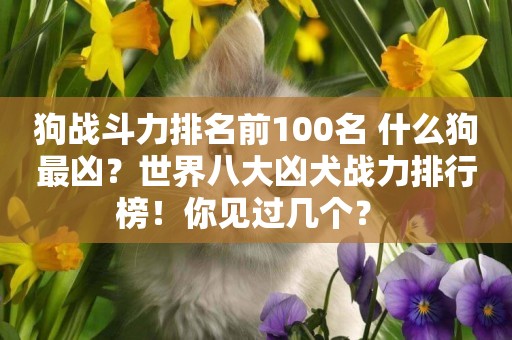 狗戰斗力排名前100名 什么狗最兇？世界八大兇犬戰力排行榜！你見過幾個？ 