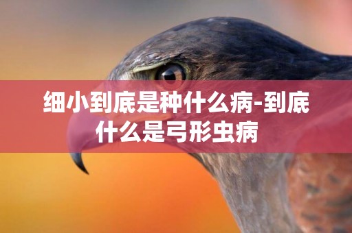 細小到底是種什么病-到底什么是弓形蟲病