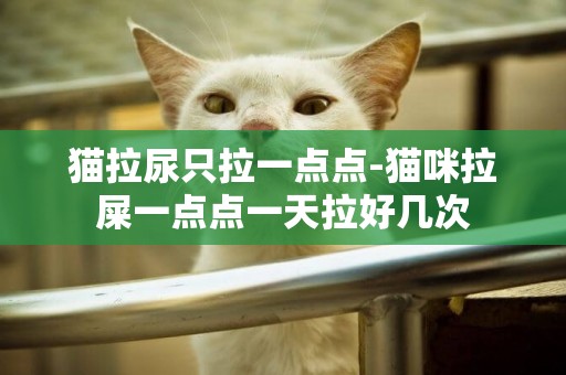 貓拉尿只拉一點點-貓咪拉屎一點點一天拉好幾次