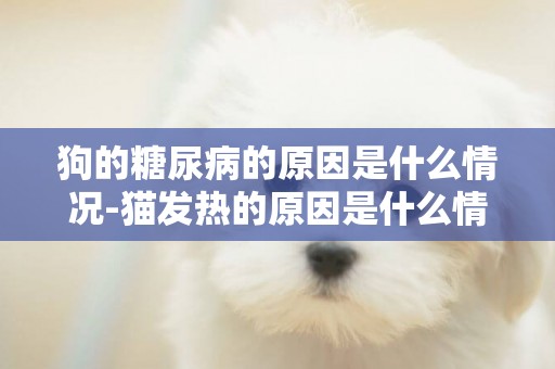 狗的糖尿病的原因是什么情況-貓發熱的原因是什么情況