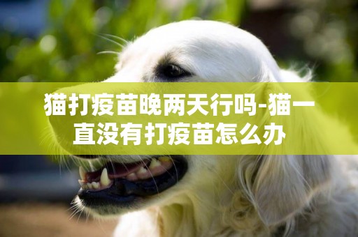 貓打疫苗晚兩天行嗎-貓一直沒有打疫苗怎么辦