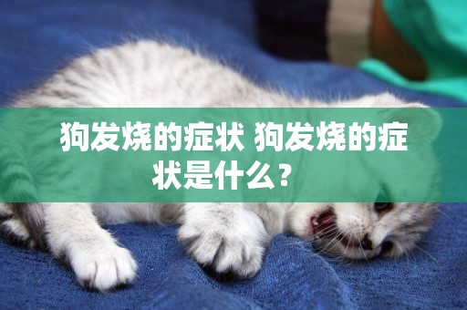狗發燒的癥狀 狗發燒的癥狀是什么？ 