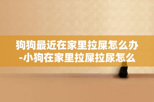 狗狗最近在家里拉屎怎么辦-小狗在家里拉屎拉尿怎么辦