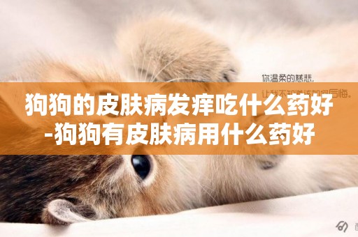 狗狗的皮膚病發癢吃什么藥好-狗狗有皮膚病用什么藥好