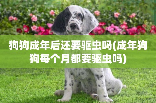 狗狗成年后還要驅蟲嗎(成年狗狗每個月都要驅蟲嗎)