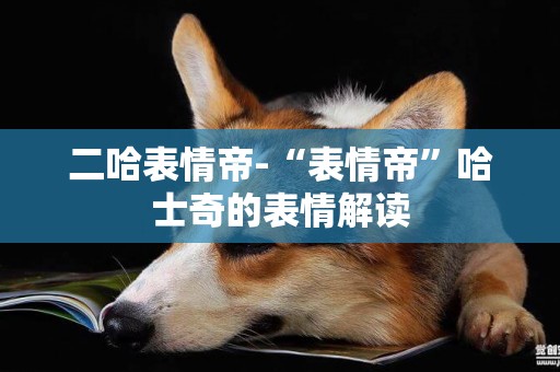 二哈表情帝-“表情帝”哈士奇的表情解讀