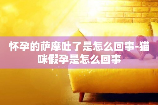 懷孕的薩摩吐了是怎么回事-貓咪假孕是怎么回事