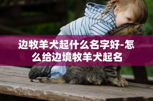 邊牧羊犬起什么名字好-怎么給邊境牧羊犬起名