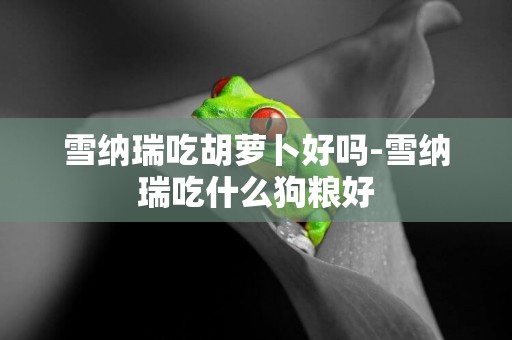 雪納瑞吃胡蘿卜好嗎-雪納瑞吃什么狗糧好