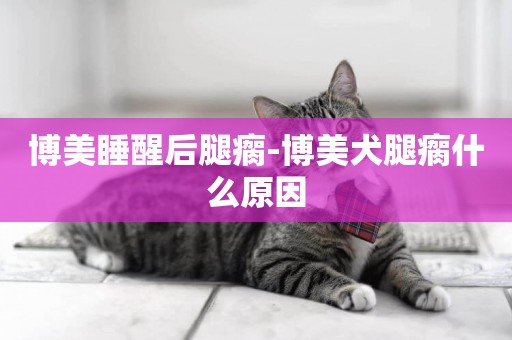 博美睡醒后腿瘸-博美犬腿瘸什么原因