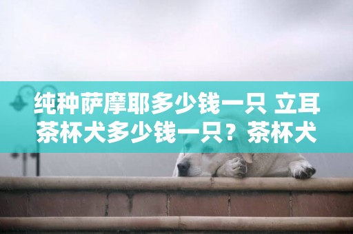 純種薩摩耶多少錢一只 立耳茶杯犬多少錢一只？茶杯犬多少錢一只？ 
