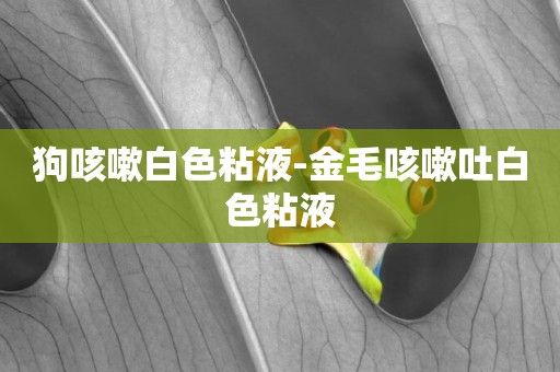 狗咳嗽白色粘液-金毛咳嗽吐白色粘液