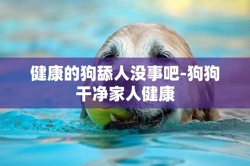 健康的狗舔人沒事吧-狗狗干凈家人健康