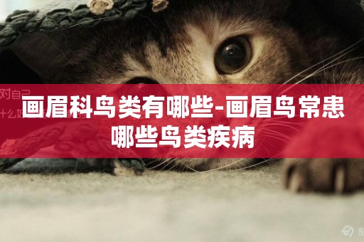 畫眉科鳥類有哪些-畫眉鳥常患哪些鳥類疾病