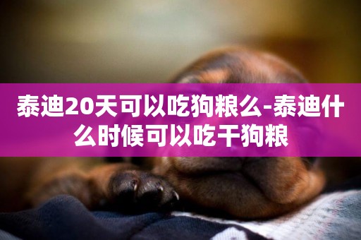 泰迪20天可以吃狗糧么-泰迪什么時候可以吃干狗糧