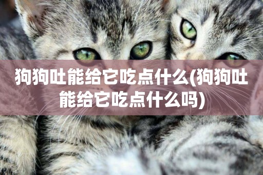 狗狗吐能給它吃點什么(狗狗吐能給它吃點什么嗎)