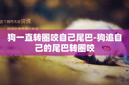 狗一直轉圈咬自己尾巴-狗追自己的尾巴轉圈咬