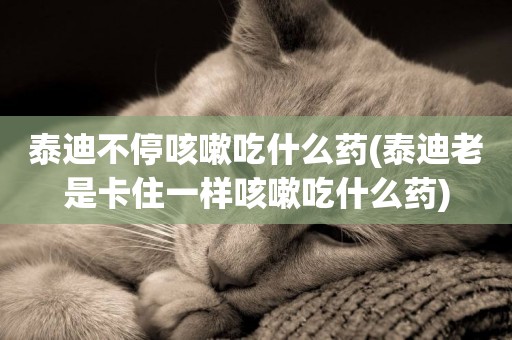 泰迪不停咳嗽吃什么藥(泰迪老是卡住一樣咳嗽吃什么藥)