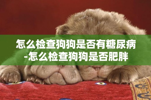 怎么檢查狗狗是否有糖尿病-怎么檢查狗狗是否肥胖